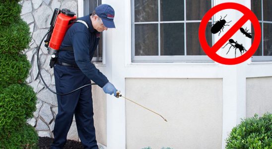 Bandırma Tahtakurusu İlaçlama böcek ilaçlama ve haşere kontrolü — ilaclama-tr.com